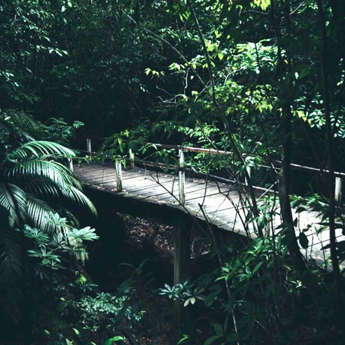 Stream LEAVING NOTHING BEHIND ALEX GOETT by Alex Goett Listen Stream LEAVING NOTHING BEHIND ALEX GOETT by Alex Goett Listen