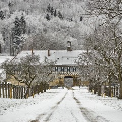 Music Form of Electronic Colors