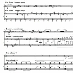 Pawel Strzelecki: 17 Sonatas (2000-2025).