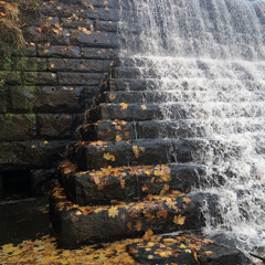 Imgone ft Robopurp [prod. ʎpoqou]