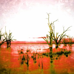 Simulation Theory (Meta)