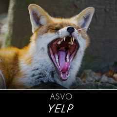 Asvo - YELP