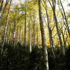 Operari Martinez - In a spare hour 7 - HARDTEK set