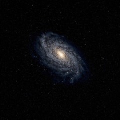 The Unknown