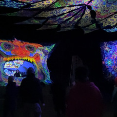 Бузина́ обыкновенная - SPBK 09.2021