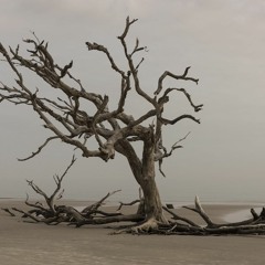 米津玄師/シンデレラグレイ（インストカバー）