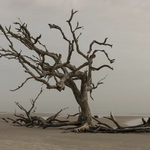 米津玄師/シンデレラグレイ（インストカバー）