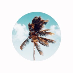 Misc.Inc - Palm Beach