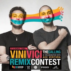 Vini Vici & Ace Ventura - The Calling (AVIX Remix)