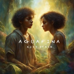 KIDD STASH - AGUAFINA