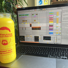 Summertime Madness(Lost in Bonn not Paris -Extended Version)