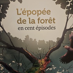 L épopée de la forêt épisode 1.m4a