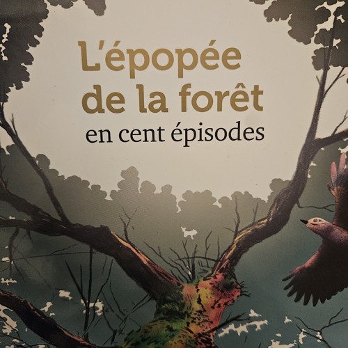 L épopée de la forêt épisode 1.m4a