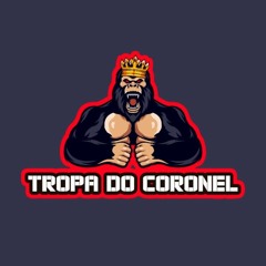 QUEM TÁ PASSANDO É O DA MAMÃE COM A GLOCK NA CINTURA DESTRAVA JOGA PRO ALTO vs MÚSICA DO TIK TOK.m4a