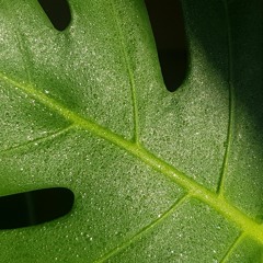 All Of U Constantly Vibrin'