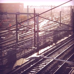 Reflections 109: Hornseyism