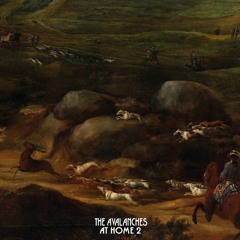 The Avalanches - At Home 2 (07.11.01)