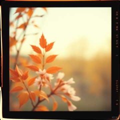 I Love You Tonight (Cover)