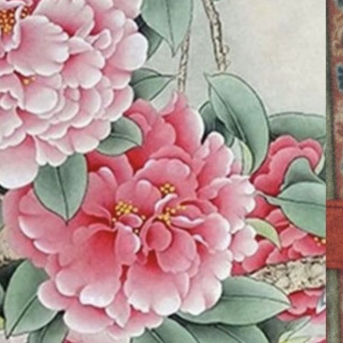 Zugshi Zugshi