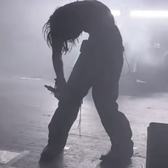 ecco2k_crazyrn_morph_flip