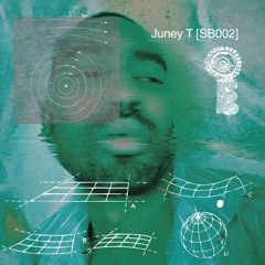 Juney T [SB002] * All Vinyl * Electronic * House