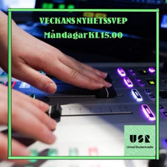 Veckans Nyhetssvep - avsnitt 14 - 2025-01-27