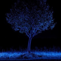 Dark Spells Of Wonder - JG DJ Mix OCT21