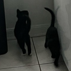 IN MY MODE! +kdrkcine [CO-OP] * savior nate