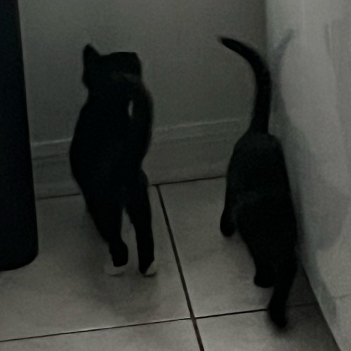 IN MY MODE! +kdrkcine [CO-OP] * savior nate