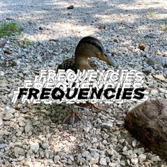 Frequencies 4 - From The Outskirts