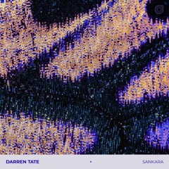 Darren Tate feat. Sxcha - Flickers