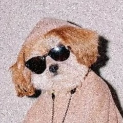 kosheen - hide u (stingin roger rework snippet #2)