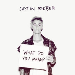 wdy meanⅢ.mp3