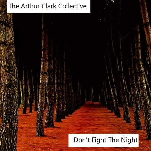 Don't Fight the Night