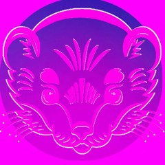 Kaija Koo & Wildstyles // Ermine Mashup