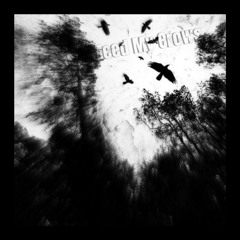 Feed My Crows (Prod. LXNTIL)