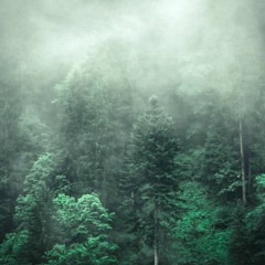 アントニオ-イエロアントニオ-ジーザス-コボス world music DOWNLOAD