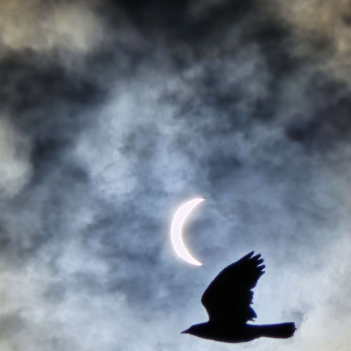 Lament
