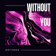 Without You (Radio Mix)