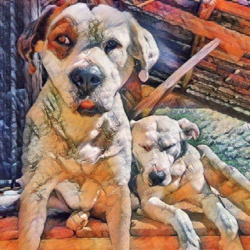 Tribe Hors Controle-