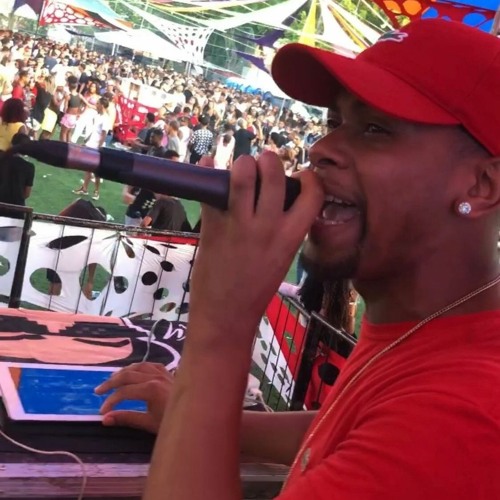 VOU BOTANDO E COLOCANDO ( Dj Galaxy da Romênia 2024 ) NEUTRA