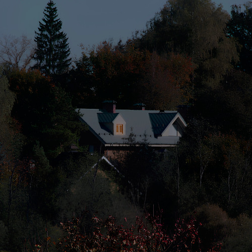 в моём доме кот