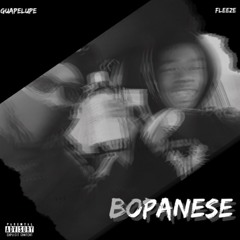 Guapelupe -  BOPANESE  (ft. Fleeze)