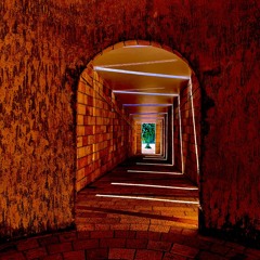 Radar - Boundry Leash