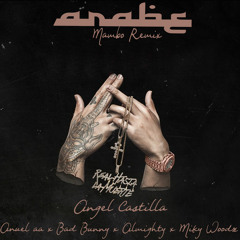 Árabe [Mambo Remix] Anuel AA, Bad Bunny, Almighty, Ñengo Flow, Many Malon, Ft. Varios Artistas