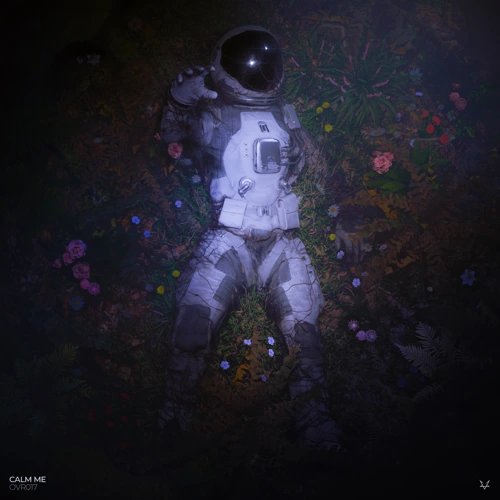 Artwork for the song Calm Me by Jawker on Next Sound