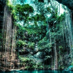 Forests Of Tulum