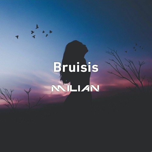 Lewis Capaldi - Bruises (MILiAN_ofc & Bläck Snäck Techno Bootleg)