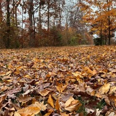 لا تسمع ولا توحي