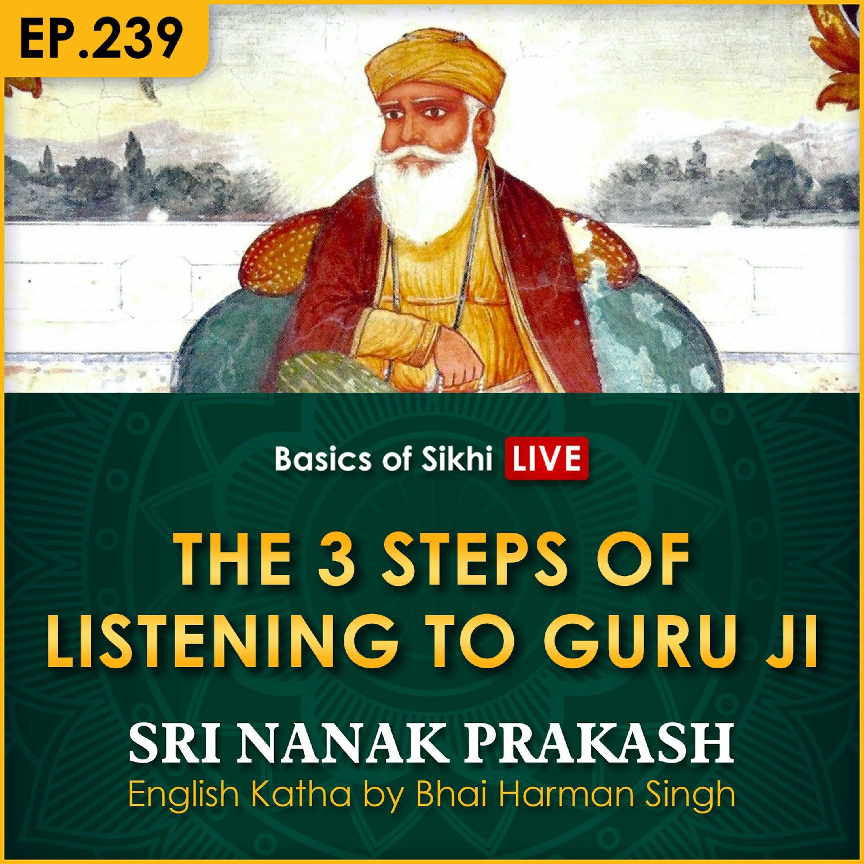 Basics of Sikhi